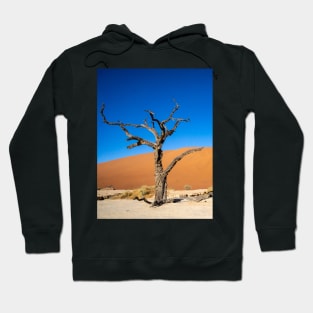 Gnarled tree. Hoodie